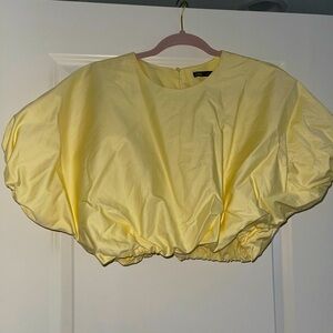 Zara balloon crop top